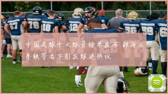 中国足球十大球员榜单发布 郝海东李铁等名字引发球迷热议