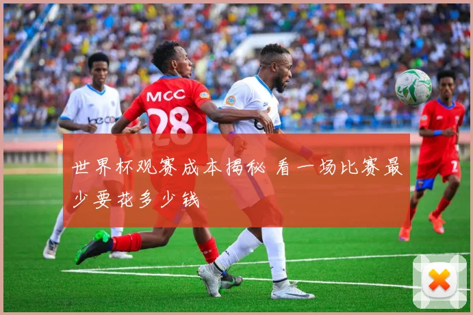 世界杯观赛成本揭秘 看一场比赛最少要花多少钱