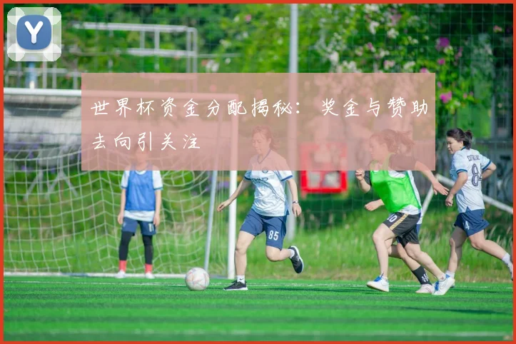 世界杯资金分配揭秘:奖金与赞助去向引关注