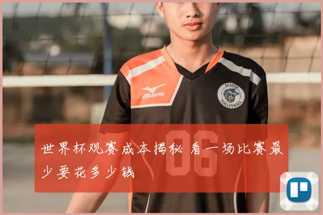 世界杯观赛成本揭秘 看一场比赛最少要花多少钱