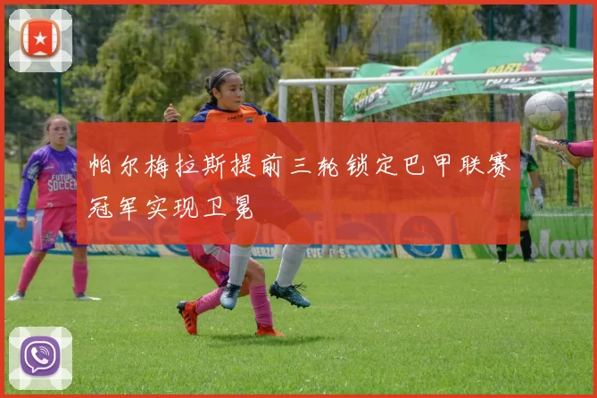 帕尔梅拉斯提前三轮锁定巴甲联赛冠军实现卫冕