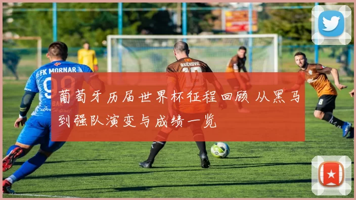 葡萄牙历届世界杯征程回顾 从黑马到强队演变与成绩一览