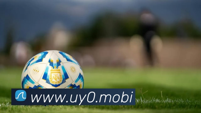 App Interface Preview