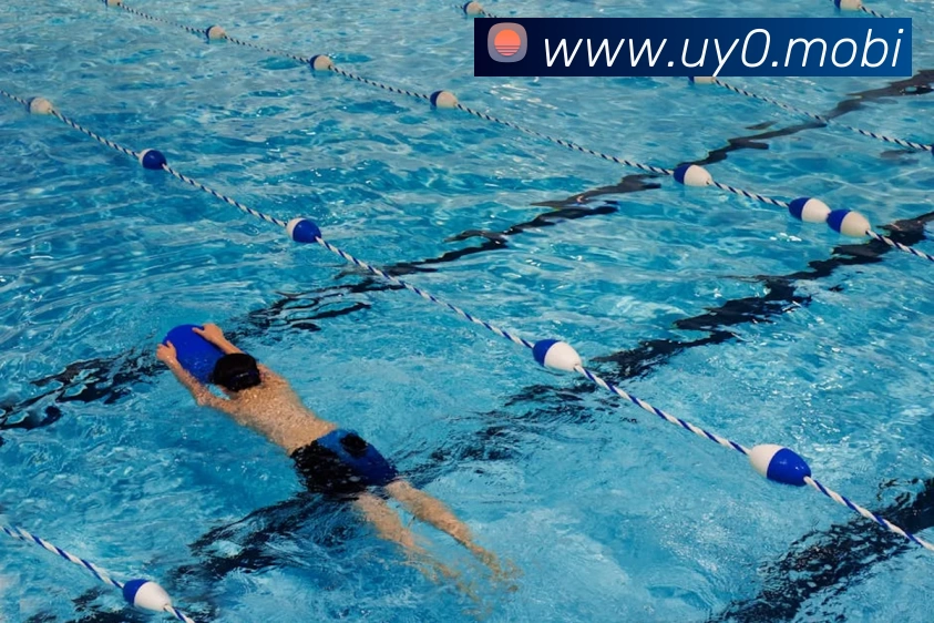 巅峰国标pg官网入口(中国)网页版入口APP 封面图